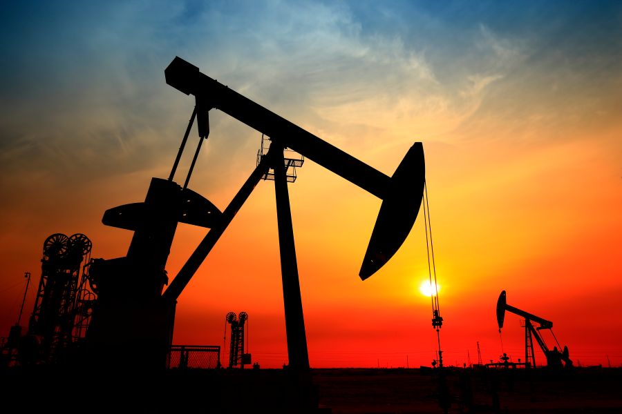 Taxonomy background image